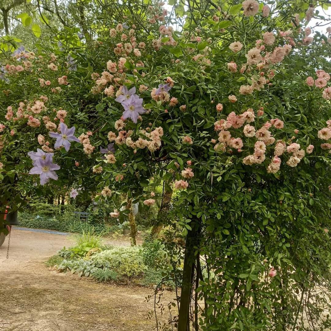 Watronville海切夫旅馆住宿加早餐旅馆 外观 照片