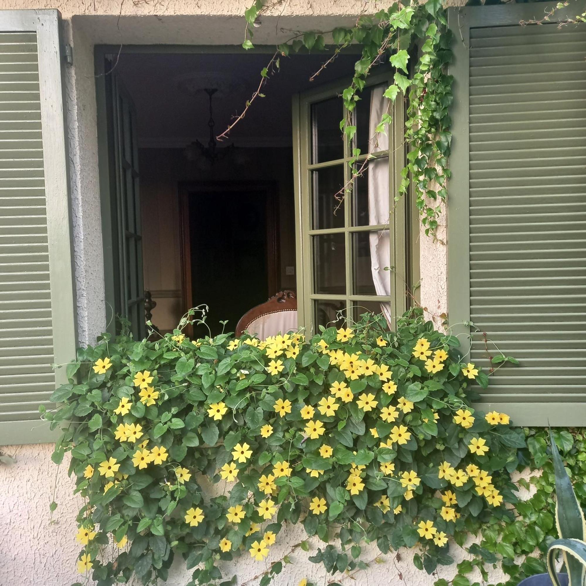 Watronville海切夫旅馆住宿加早餐旅馆 外观 照片