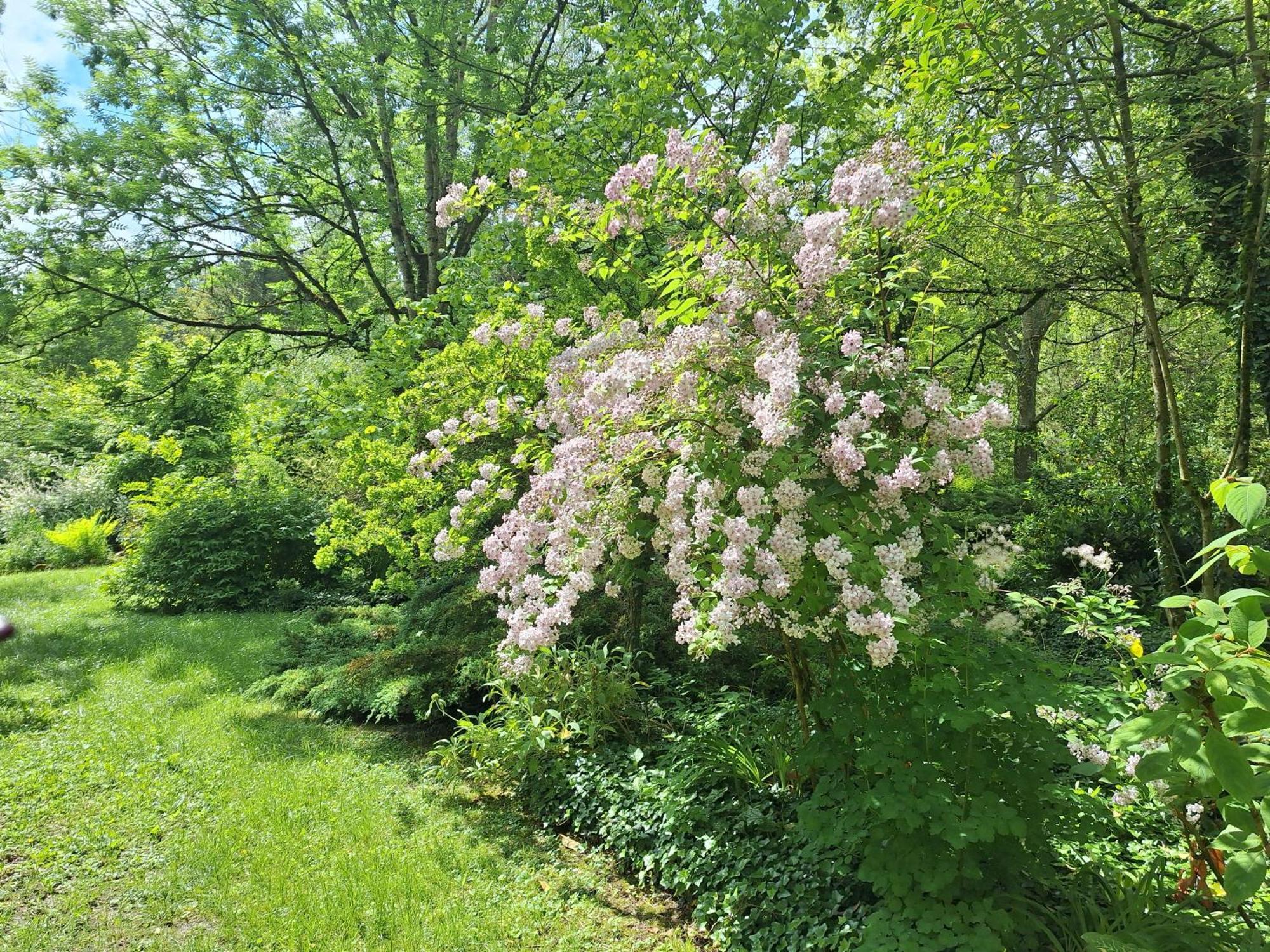 Watronville海切夫旅馆住宿加早餐旅馆 客房 照片